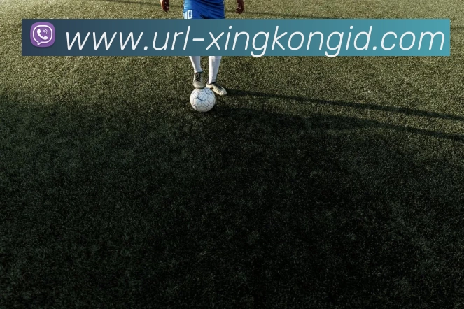 星空体育平台生态图