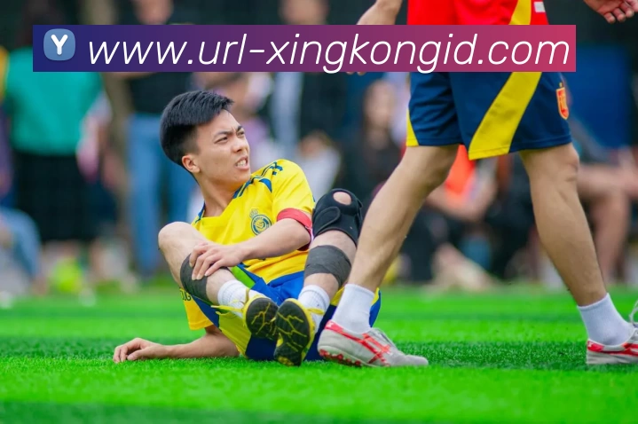 星空体育APP 封面图